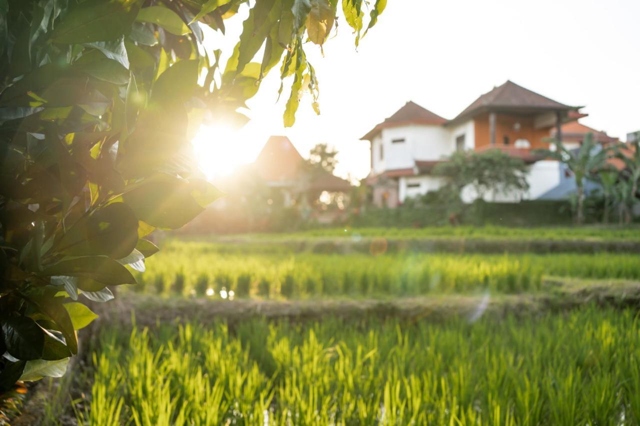 Nick'S Pension Ubud Exterior foto